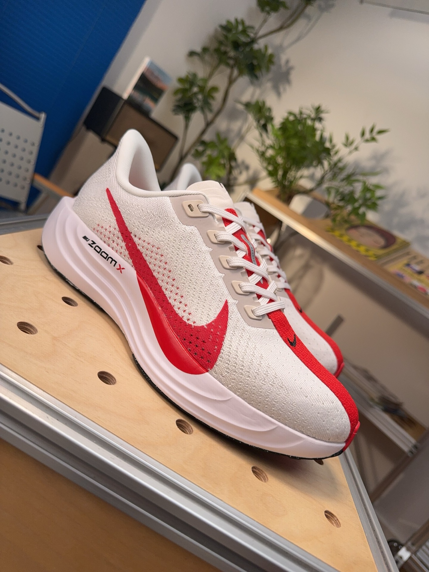 Nike Jordan